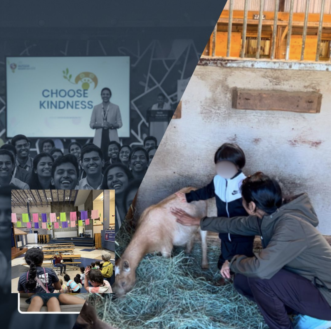 Collage showing a Befriend Cows kindness presentation for corporate employees, students at an education event, and a child gently interacting with a rescued goat beside an adult volunteer.