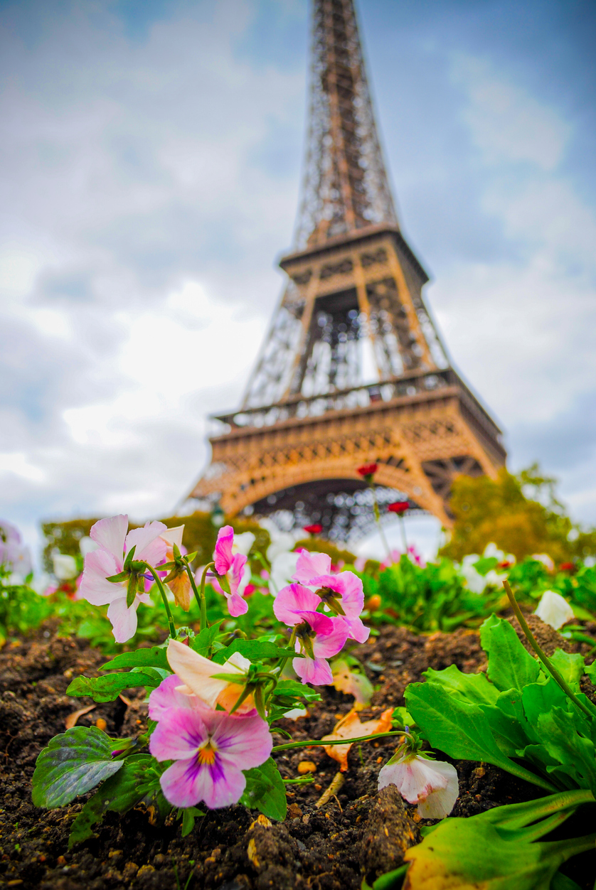 An Inside Look at French Horticulture