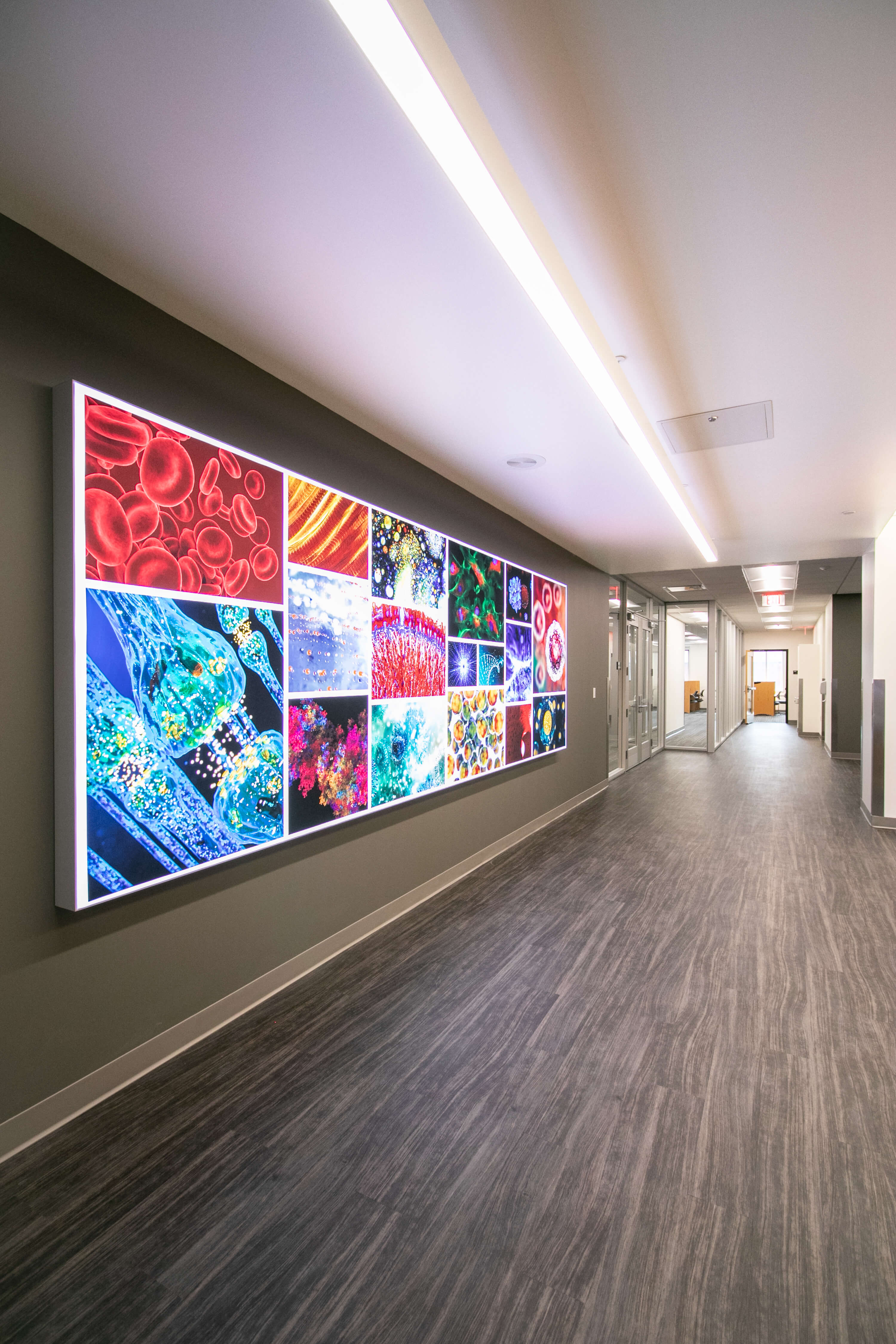 Prior Hall Library & Study Areas
