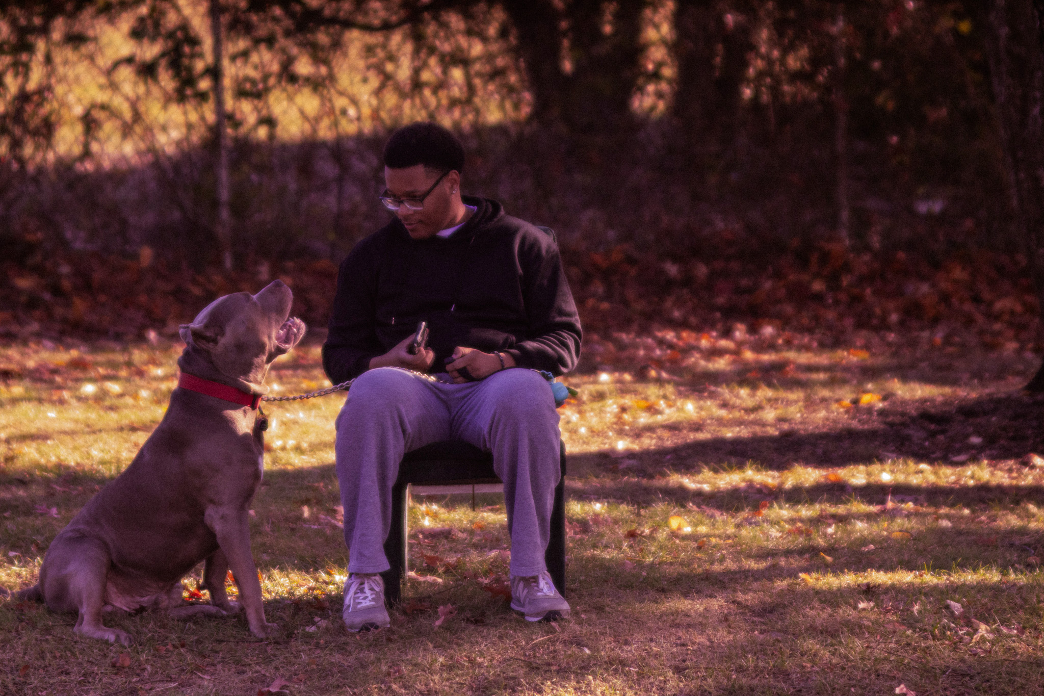 "Me and My Dog"