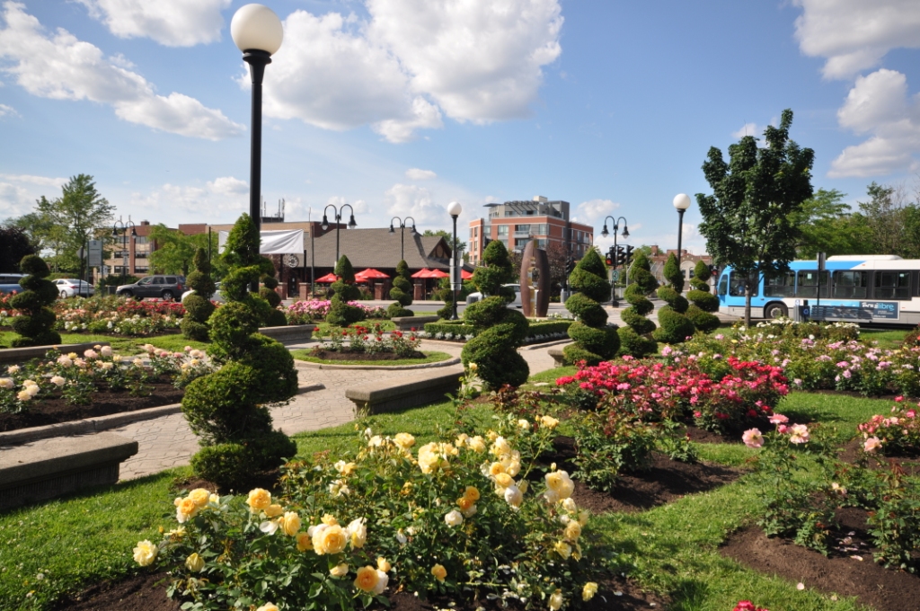 Ville Mont-Royal