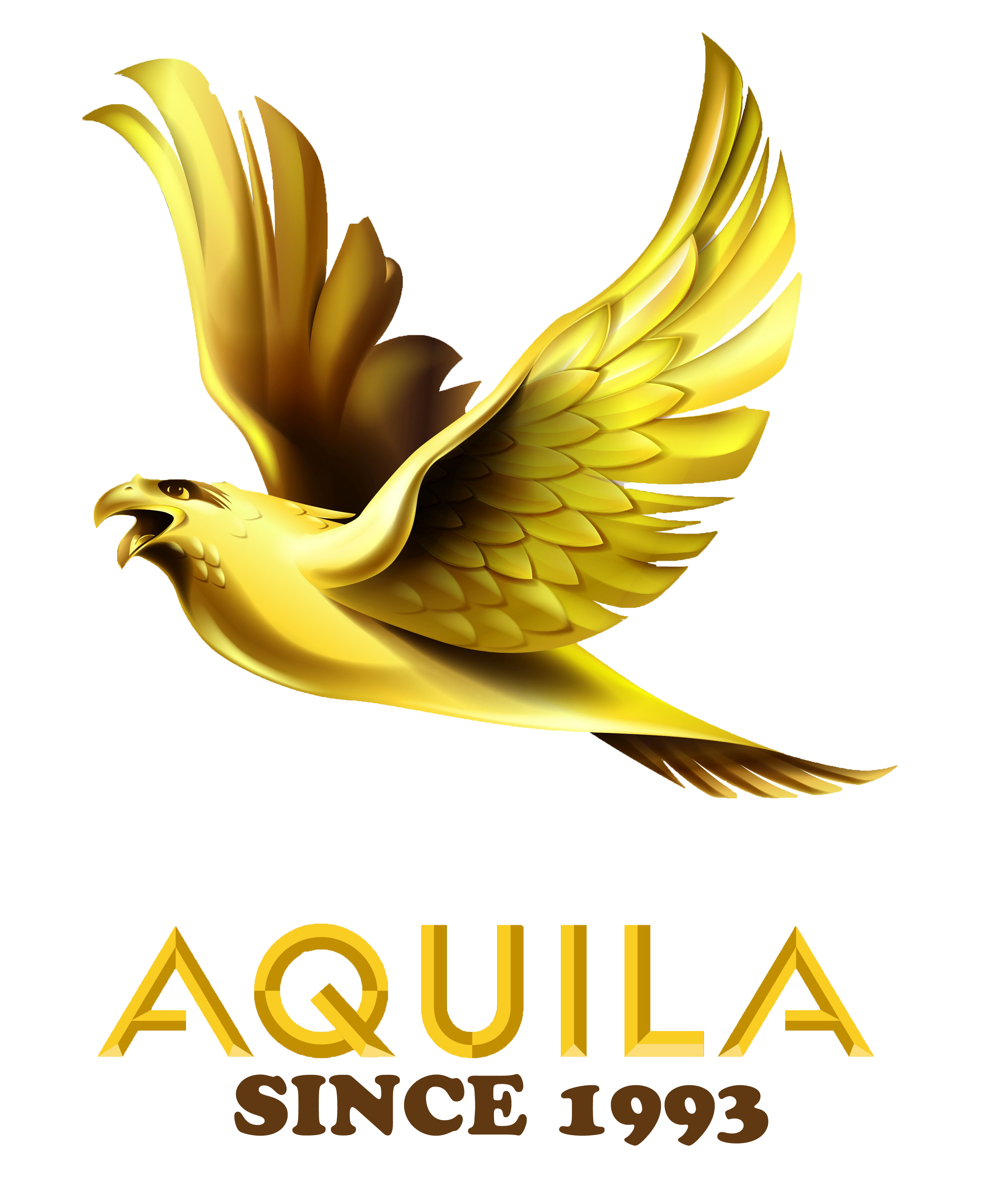 Aquila logo.
