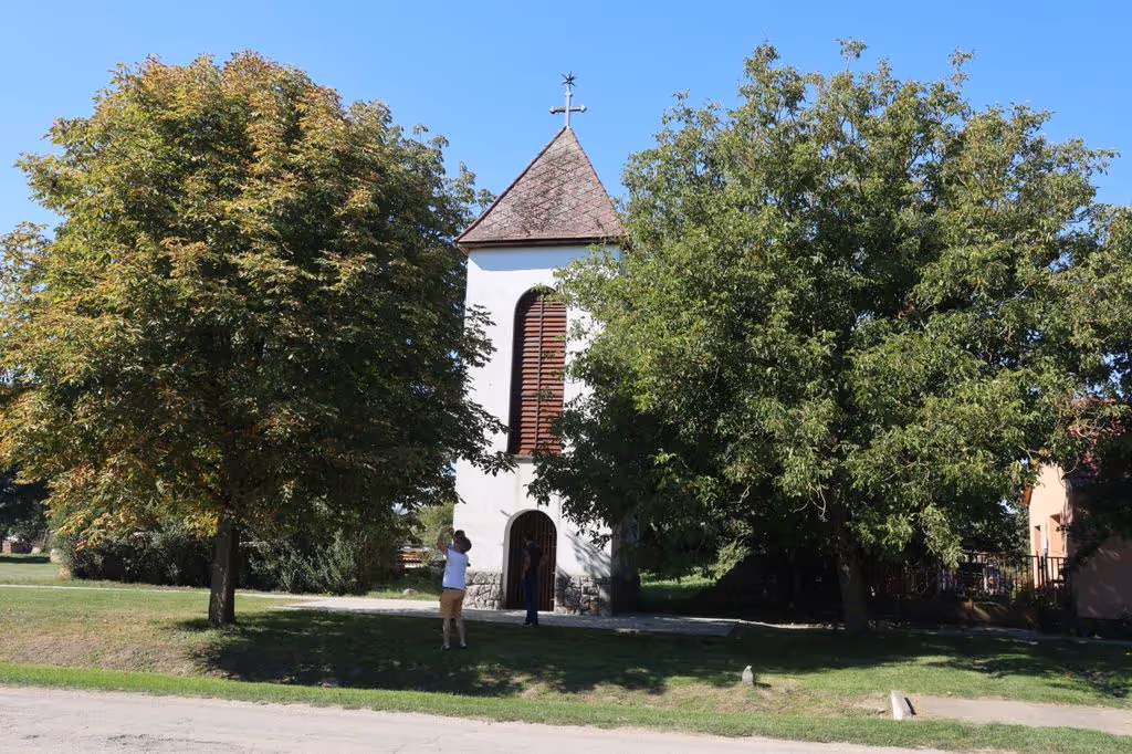 Drávacsehi Harangláb kimagaslik a fák közül