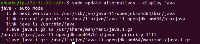 display-java