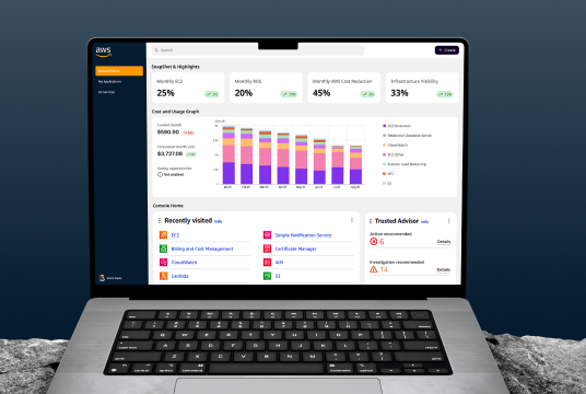 AWS Cost Optimization Case Study | 45% Cost Reduction