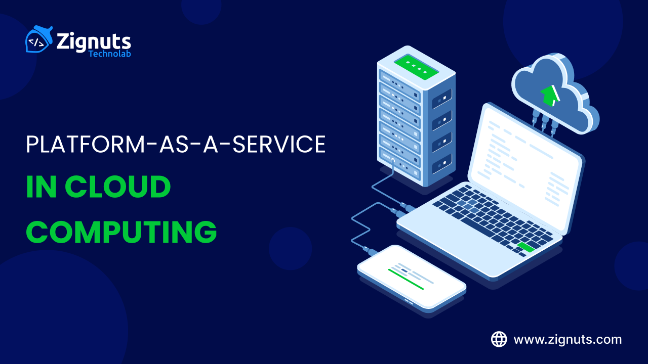Platform-as-a-Service in Cloud Computing