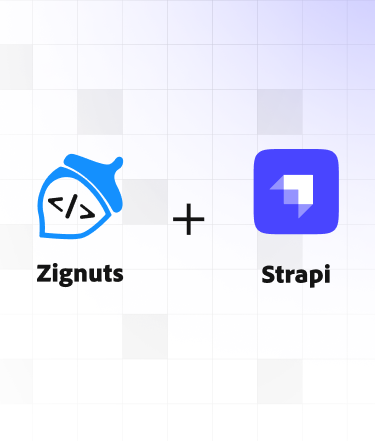 Zignuts: Your Premier Partner for Strapi Development