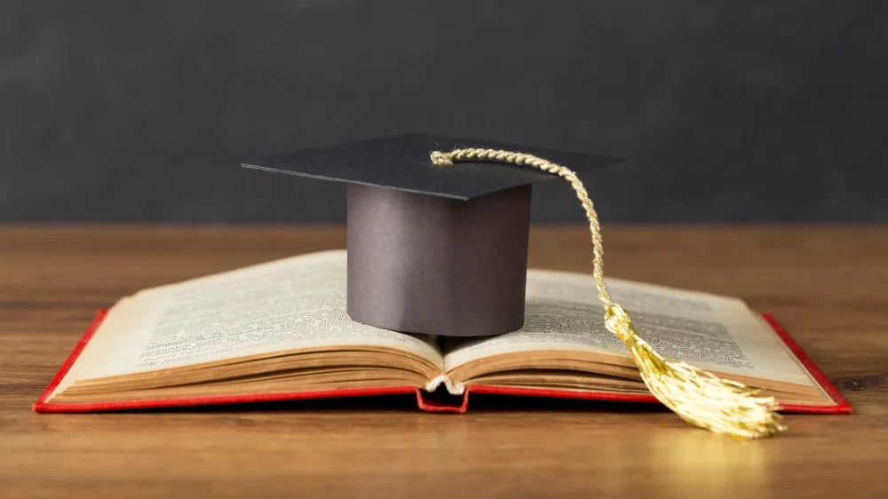 Higher Education