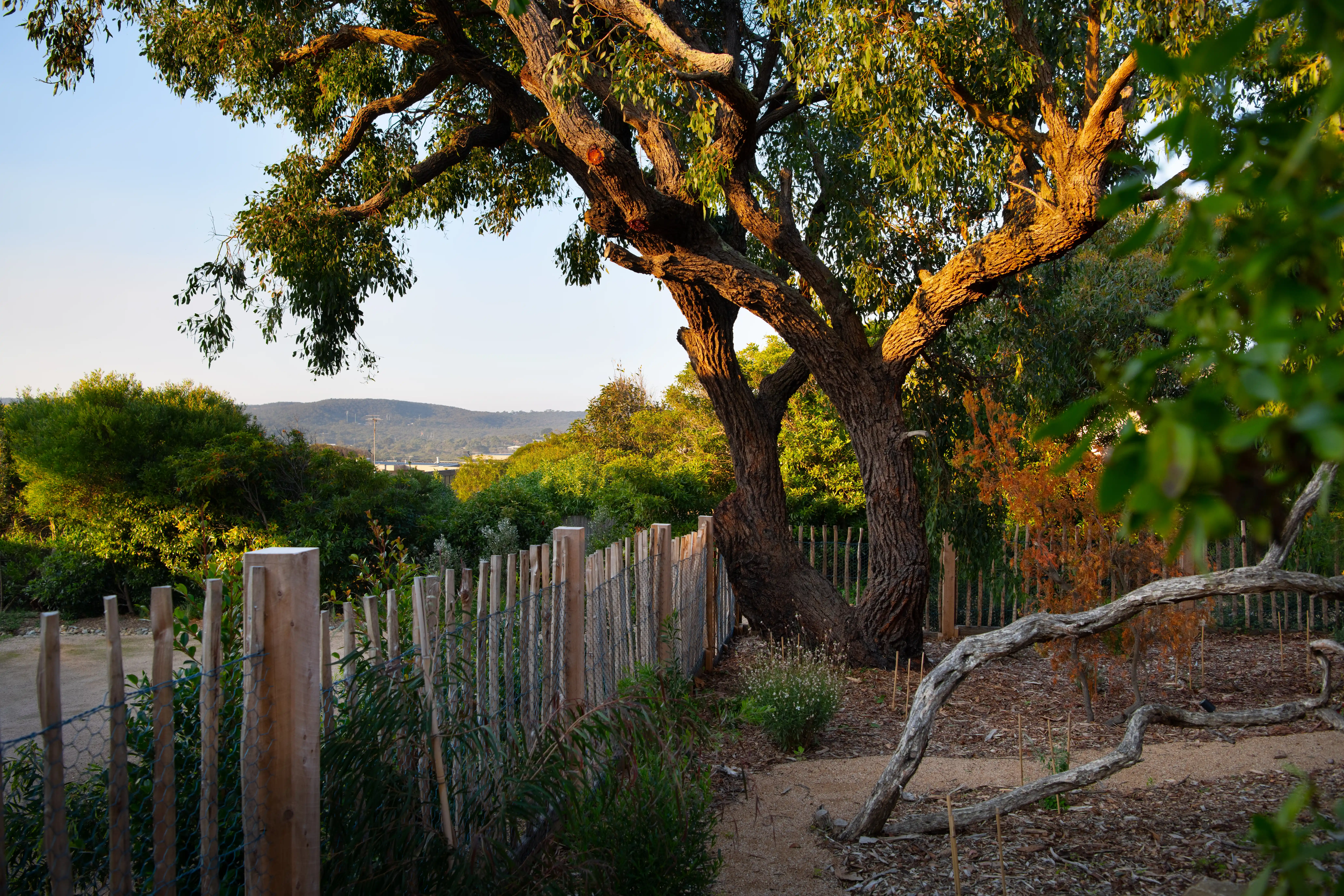 OPTIWIN Windows in Australia