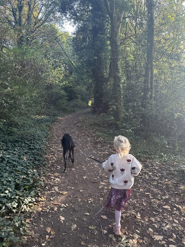 Little girl walking her dog through Hertford Heath Nature Reserve