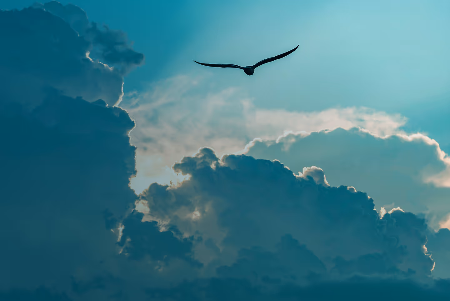 Image of an eagle flying through a break in clouds.