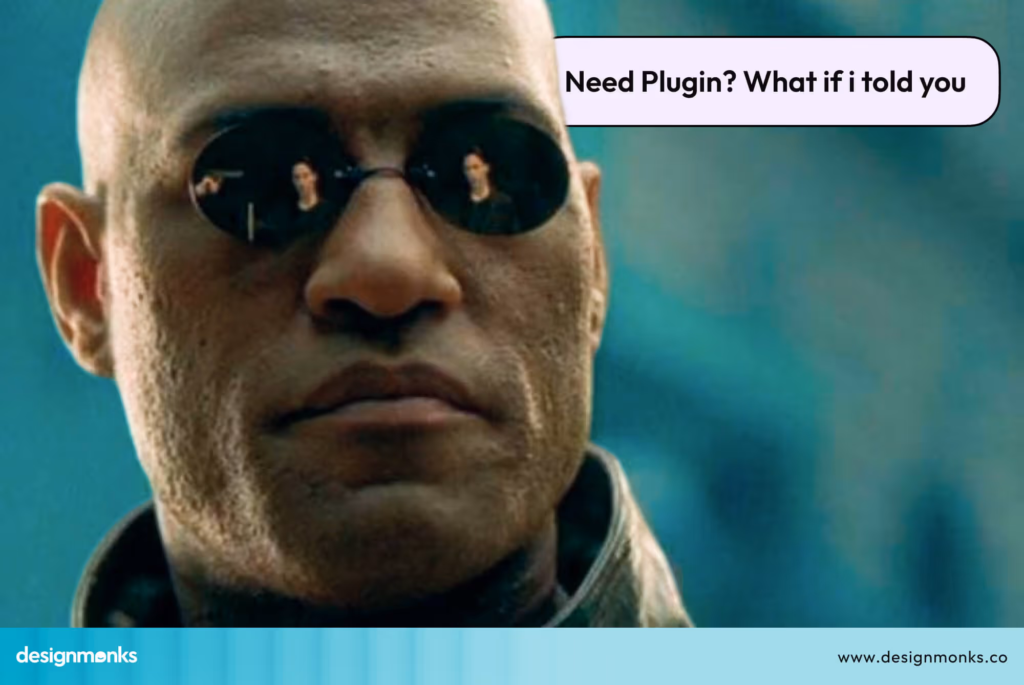 Plugin option in Webflow