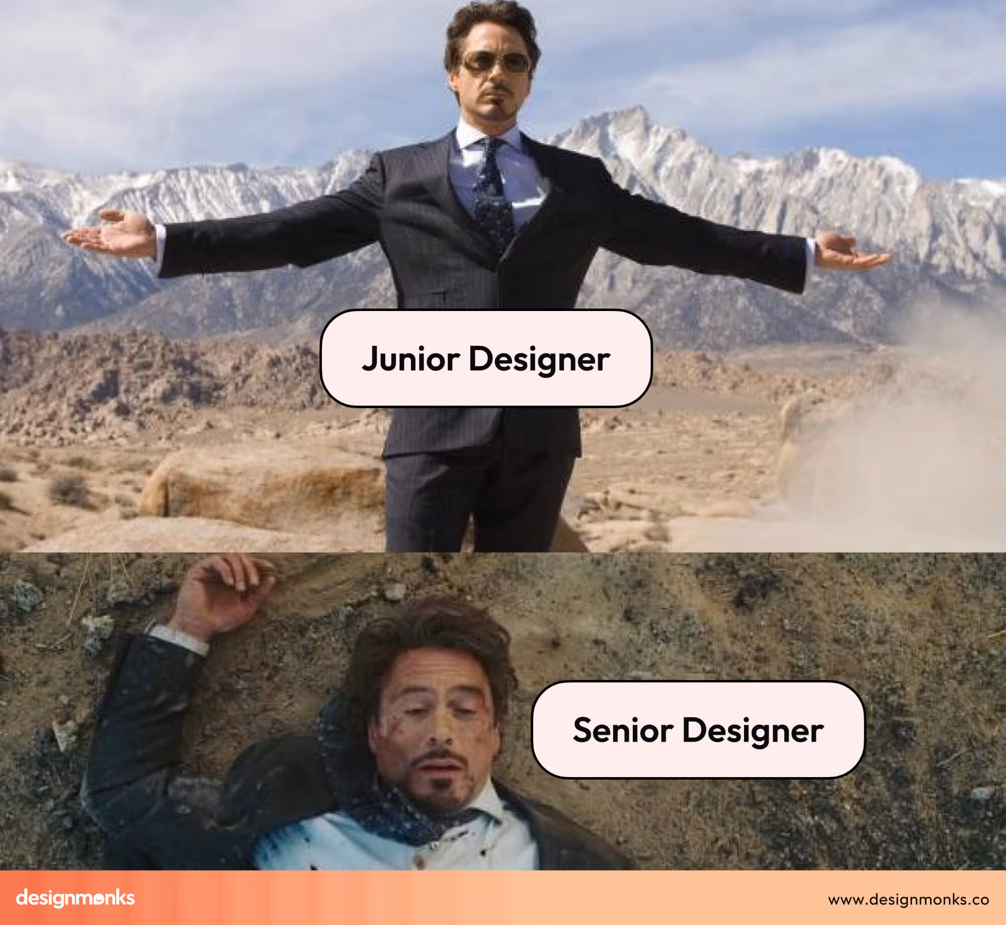 Senior Designer