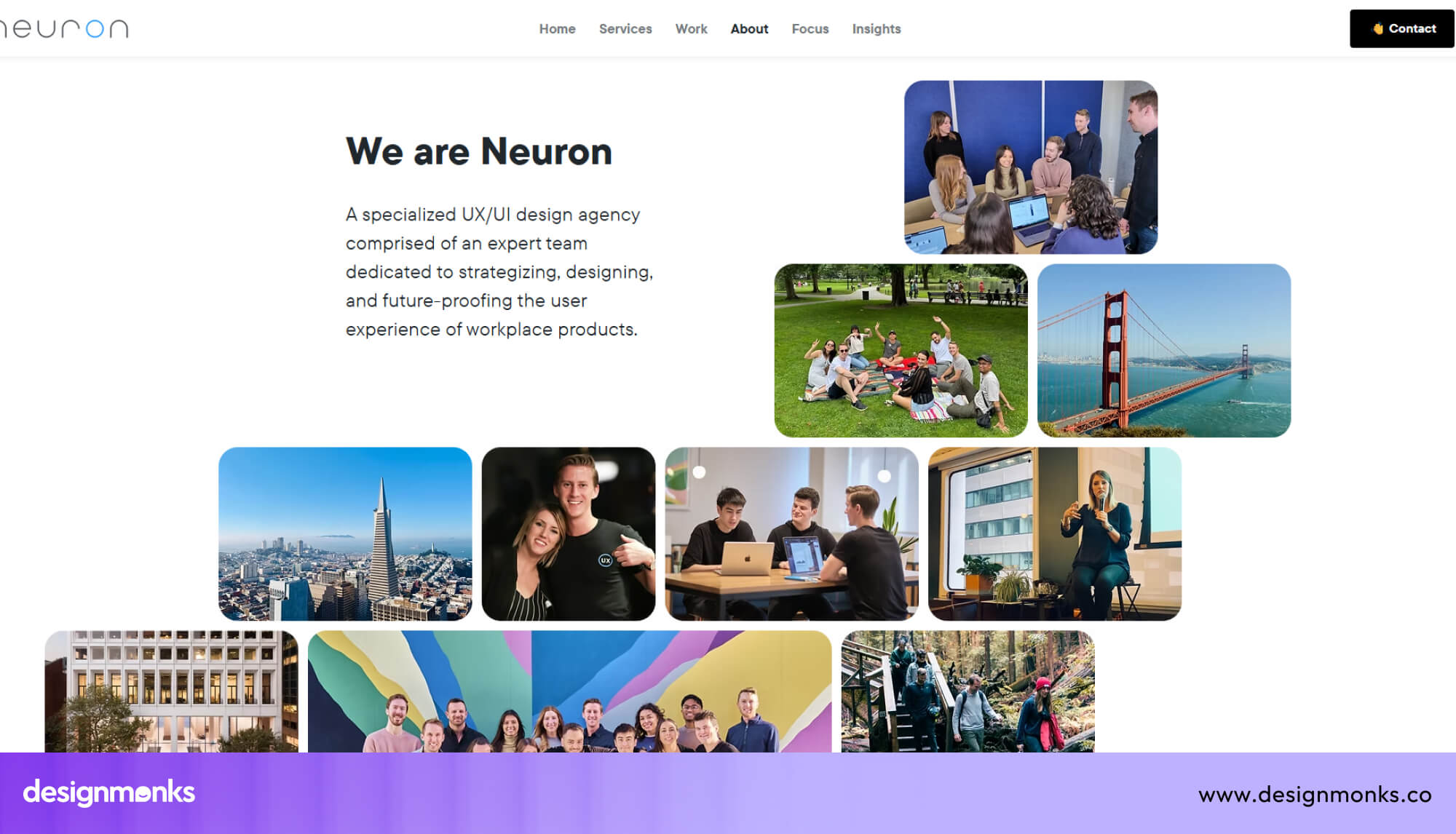 The Neuron About Page