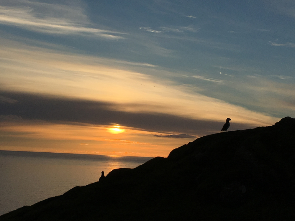 Mykines Golden Hour Tour