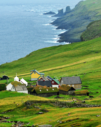 Winter Bird Safari to Mykines - Day 2