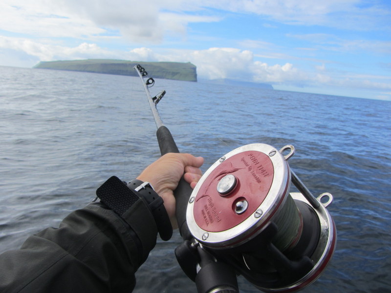 Sea Fishing Experience