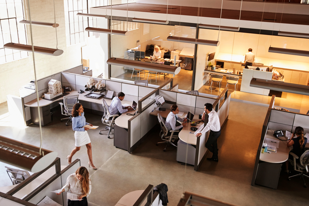 Businesses & Non-Profits