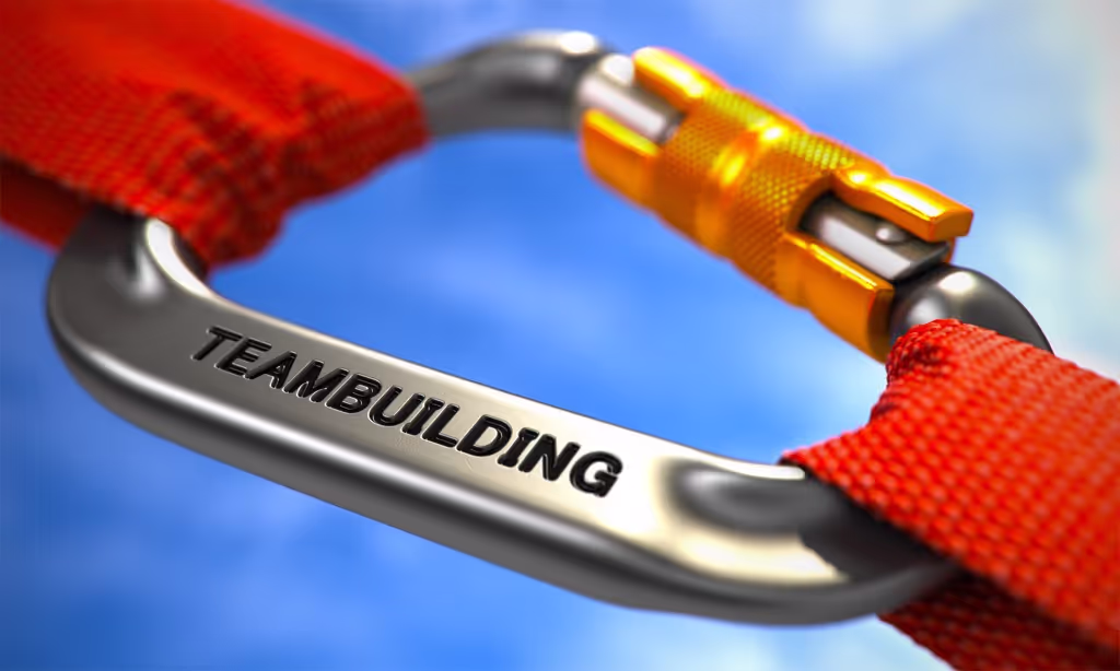 Kooperatives Teambuilding mit teamEXPERTE 965