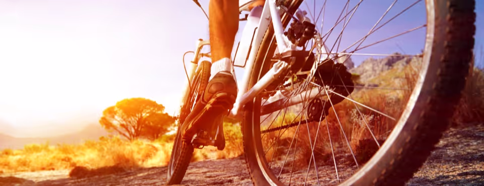 Sportliche Teamtrainings mit teamEXPERTE 613