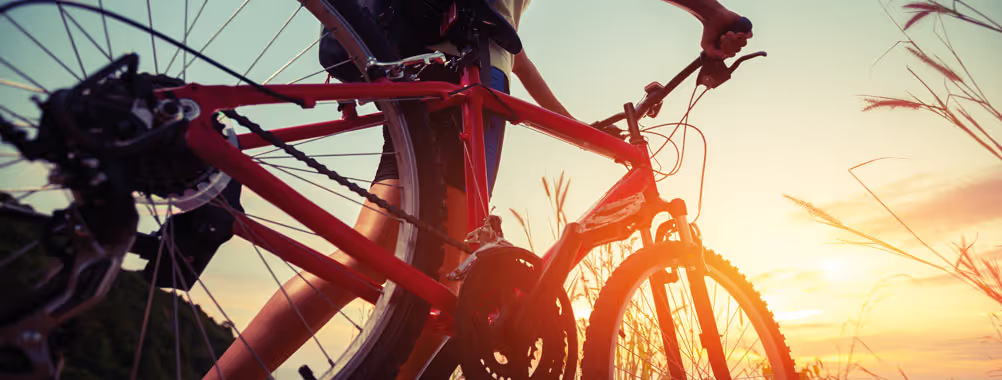 Fortbildung Mountainbike 935