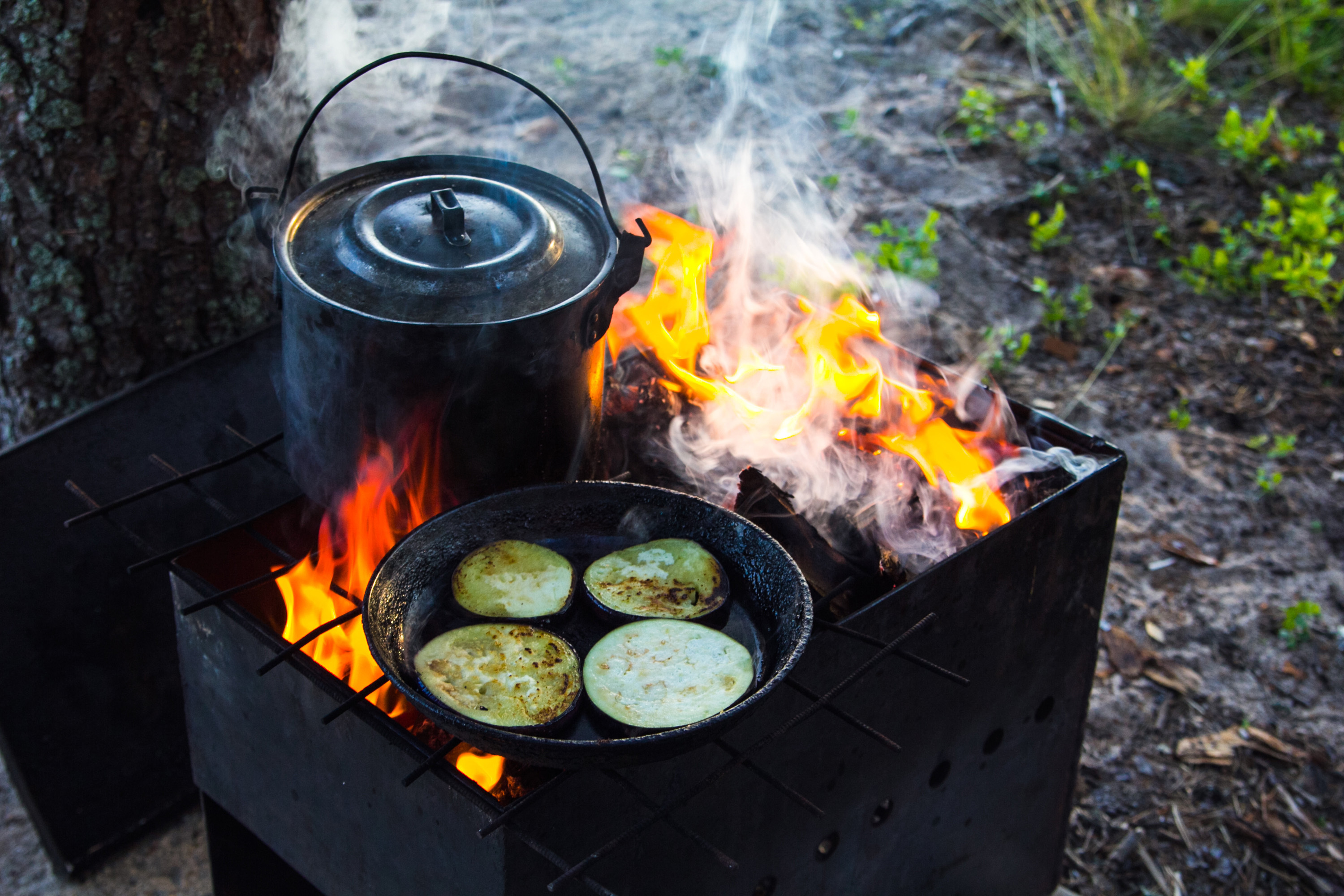 Draußen Kochen und genießen 973