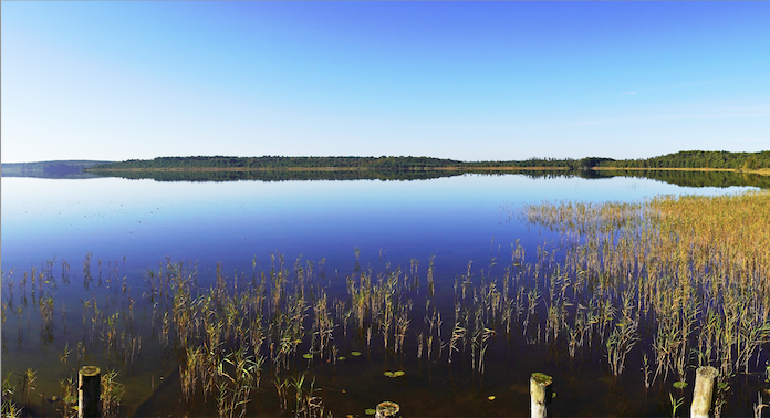 Reisepädagog*in für Time-Out-Maßnahmen (m/w/d)