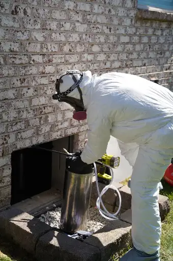 Professional Mold Inspection of Basement or Crawl Space