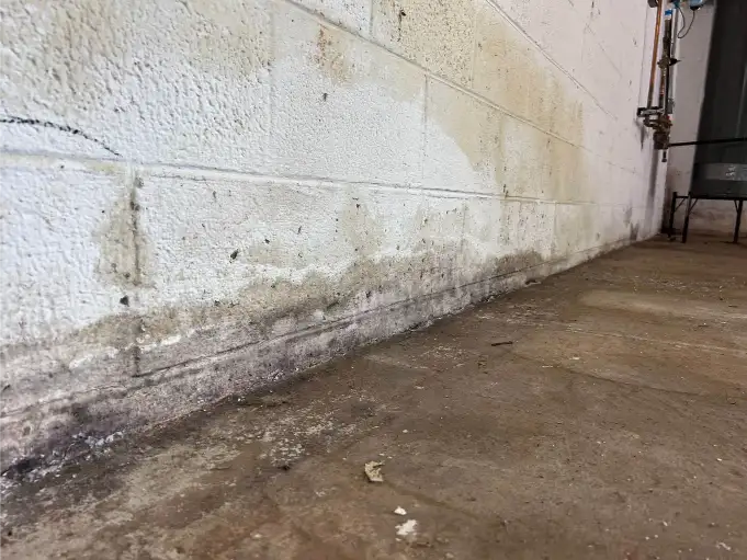 Albunda Before Basement Mold – USS Foundation Repair Tennessee