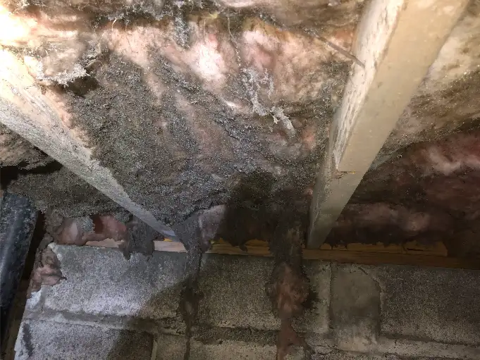 Cover Sinking Concrete Cover – USS Foundation Repair Tennessee