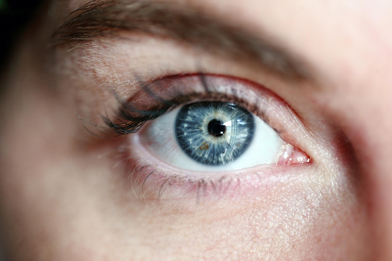 close up view of an eye.
