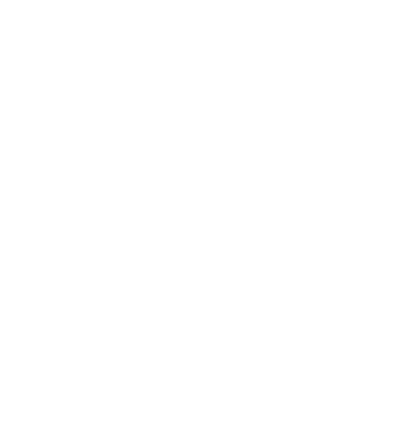 Funnel showing The INFIN’s process from company performance data to fair bonus distribution.