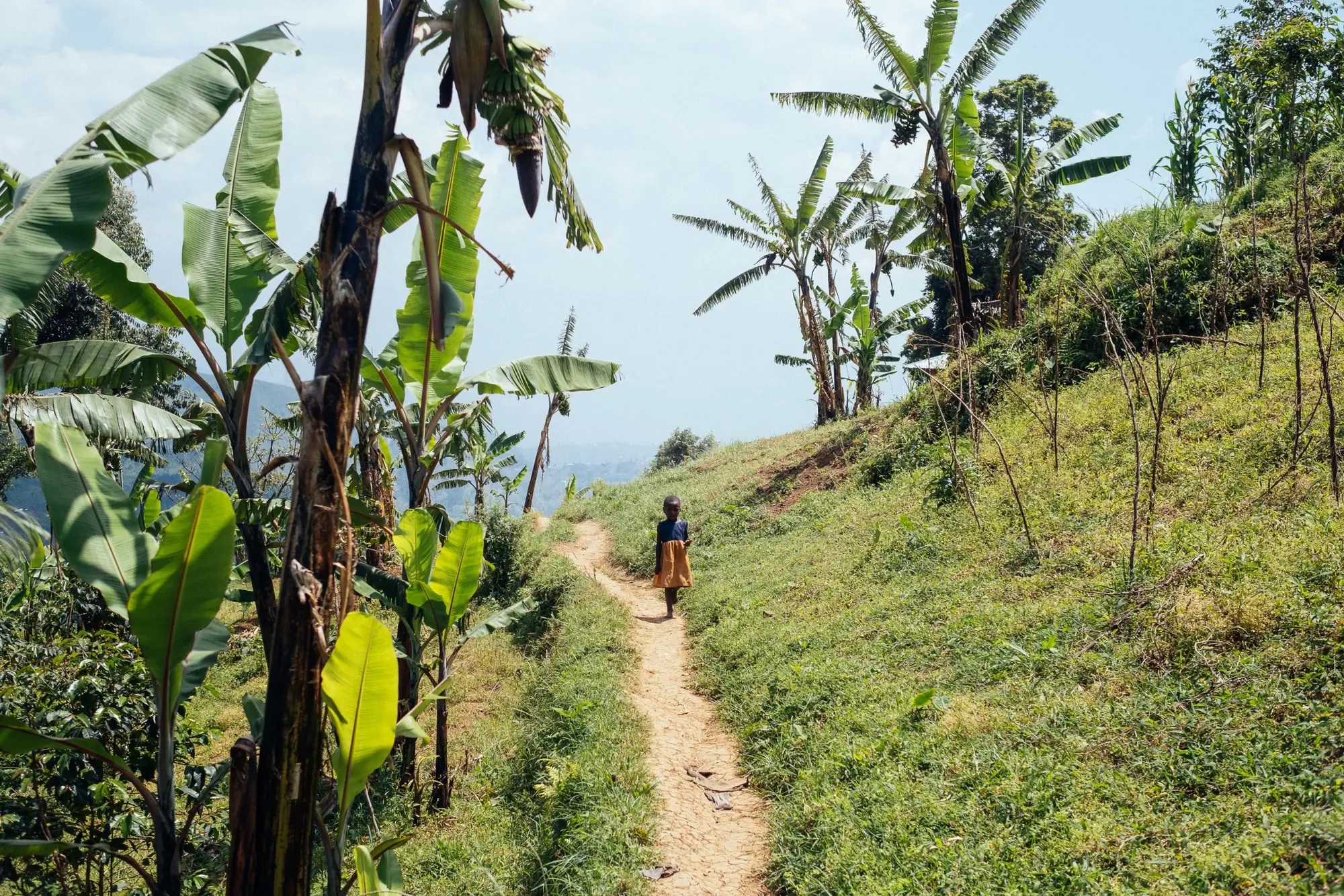 Child walking a hillside path on Mt Elgon