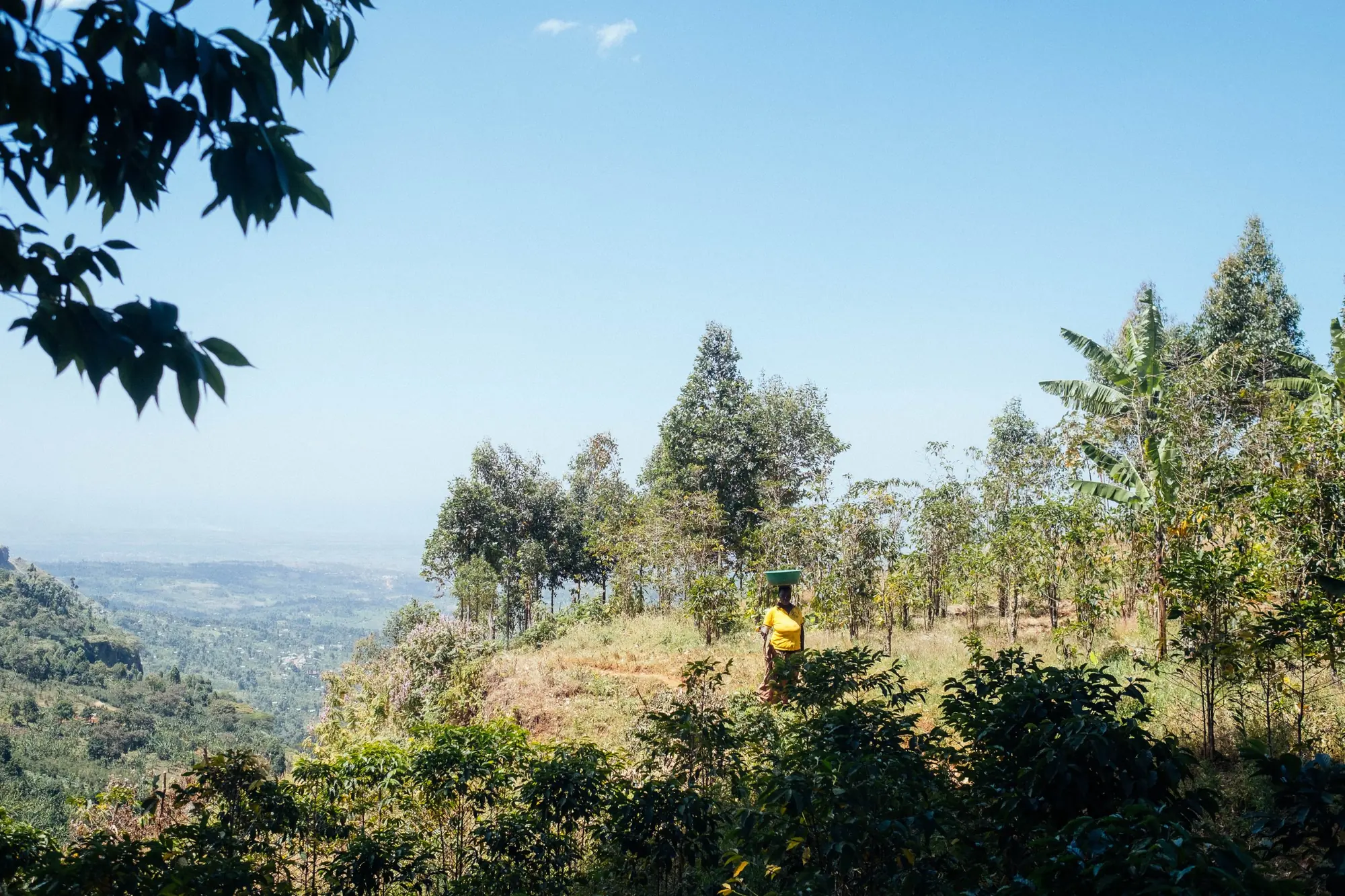 Farmer carrying a basin on Mt Elgon