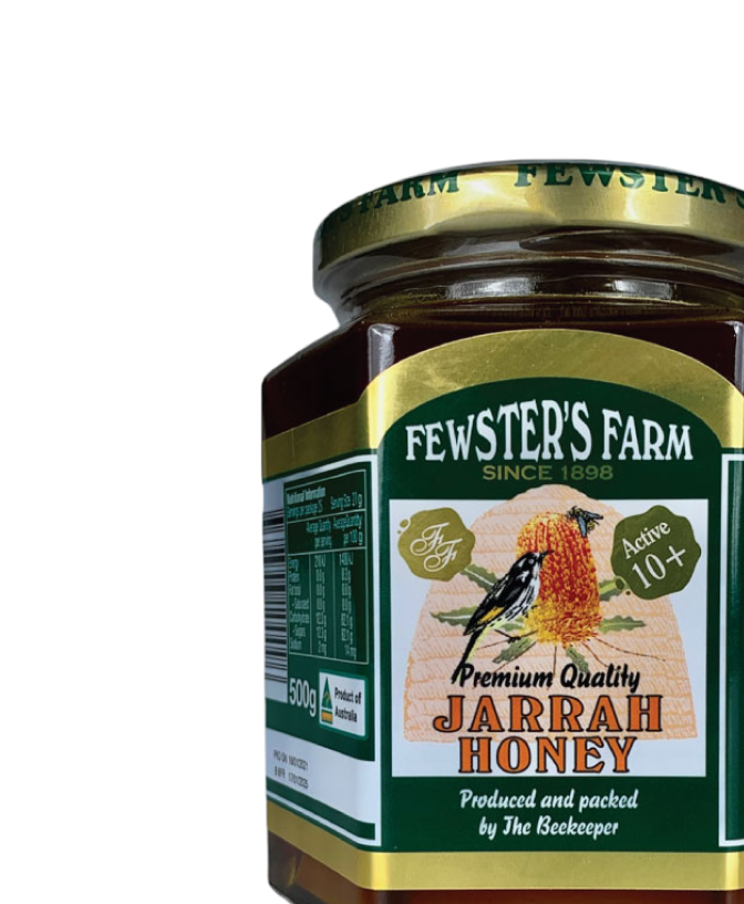 thumbnail brand case study