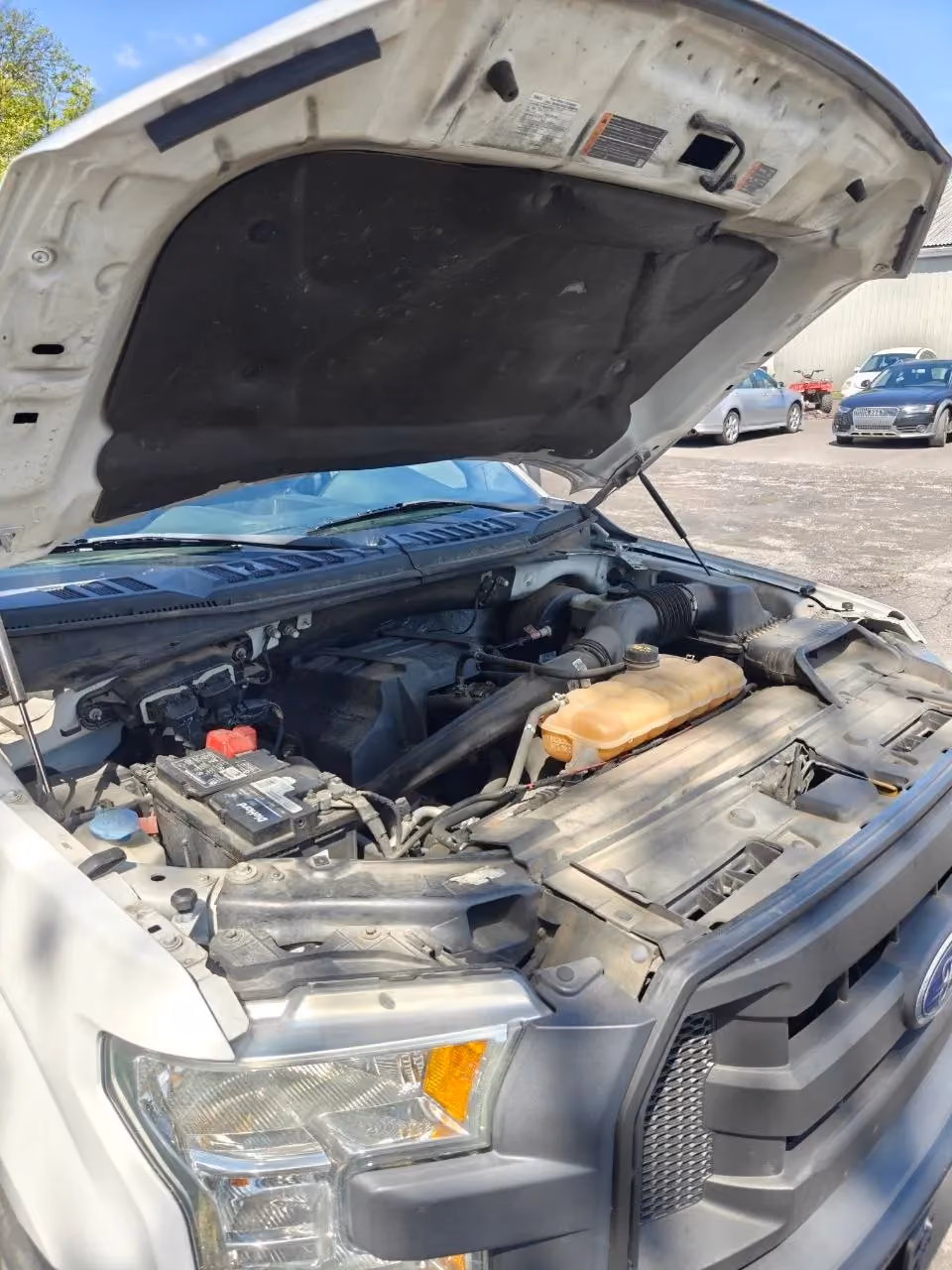 2015 Ford F150 Regular Cab XL Pickup 2D 8 ft — photo 19 of 22