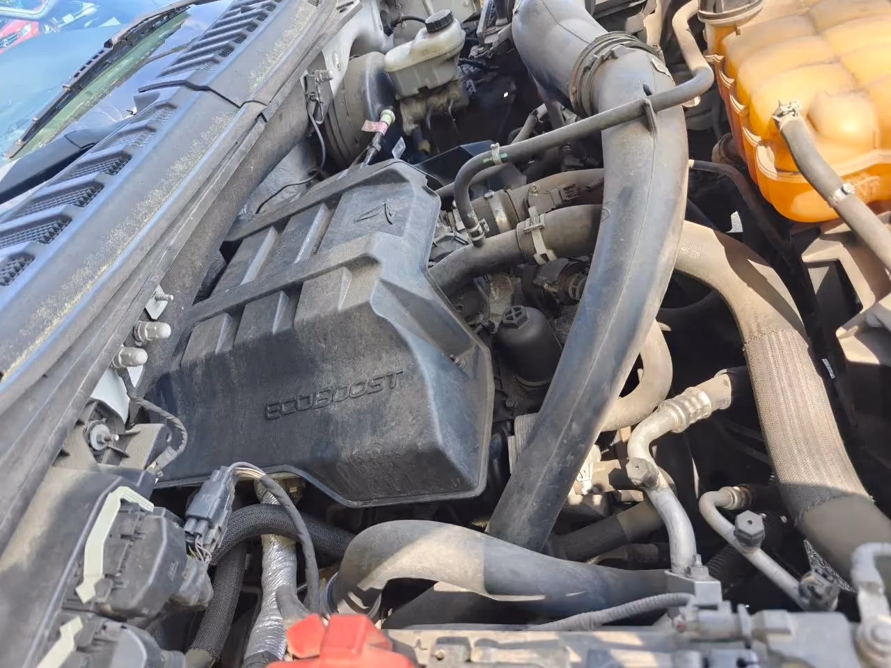 2015 Ford F150 Regular Cab XL Pickup 2D 8 ft — photo 17 of 22