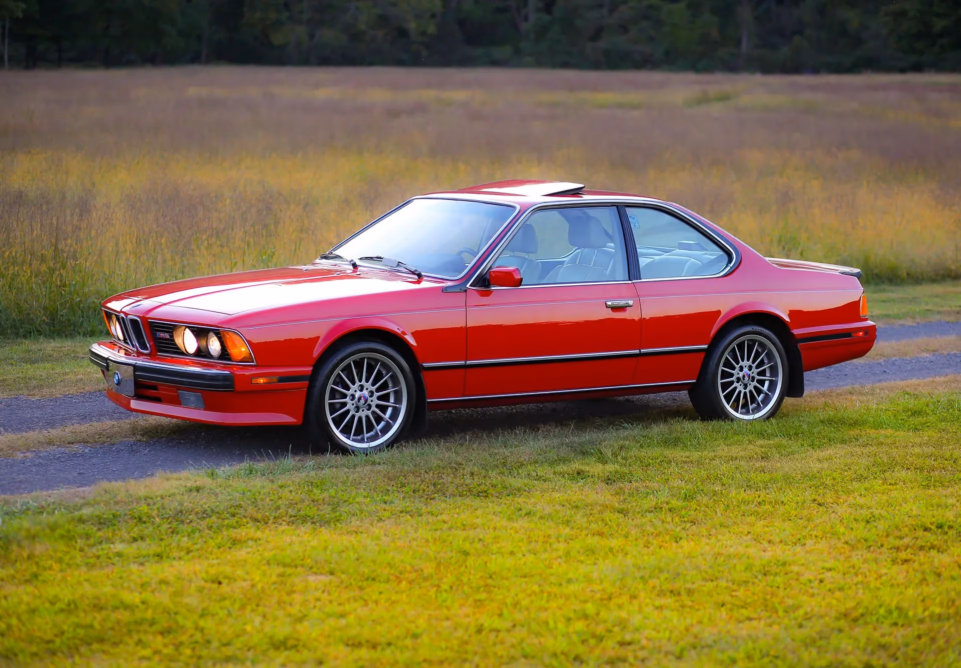 1988 BMW M6 — photo 15 of 16