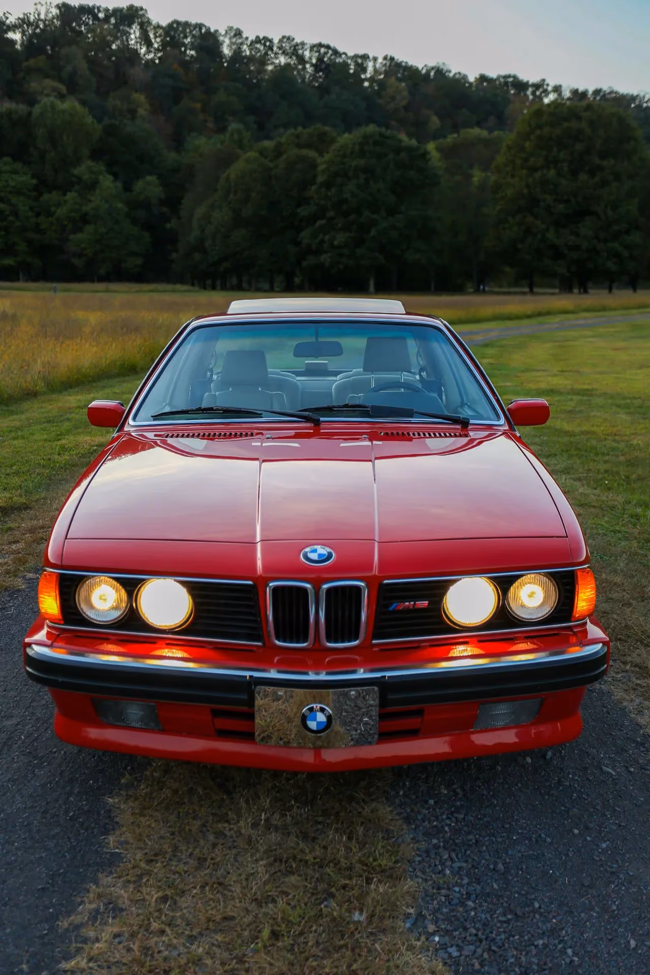 1988 BMW M6 — photo 8 of 16