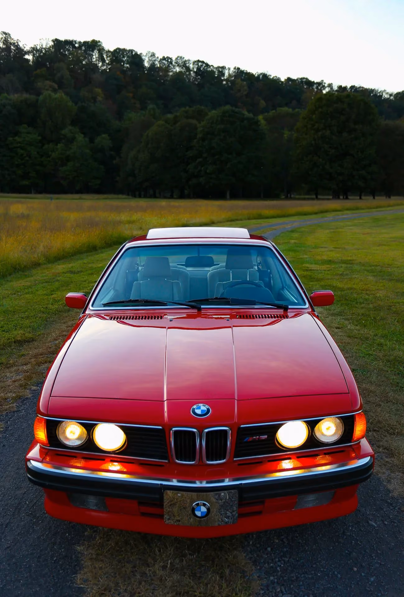 1988 BMW M6 — photo 16 of 16
