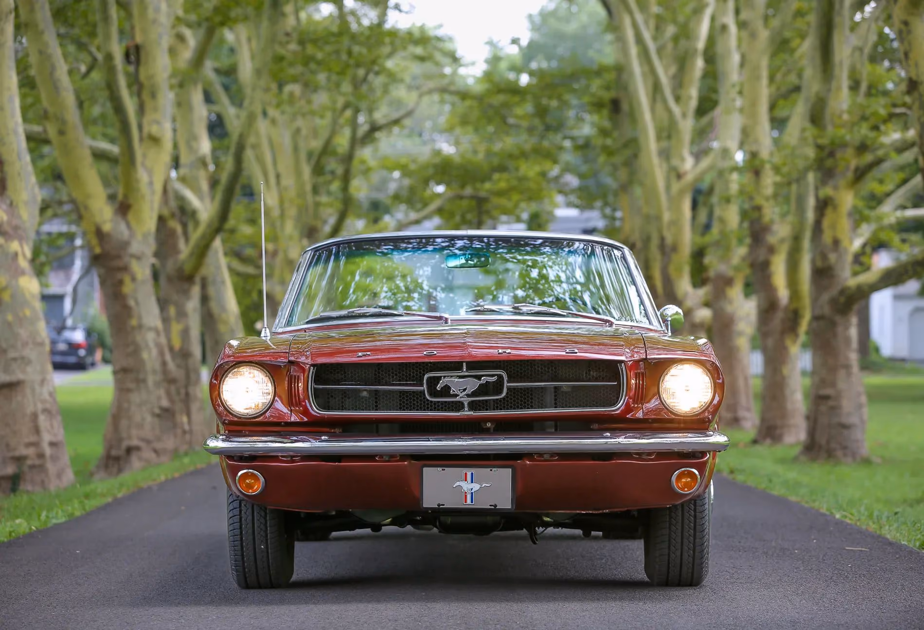 1964.5 Ford Mustang Convertible — photo 6 of 20