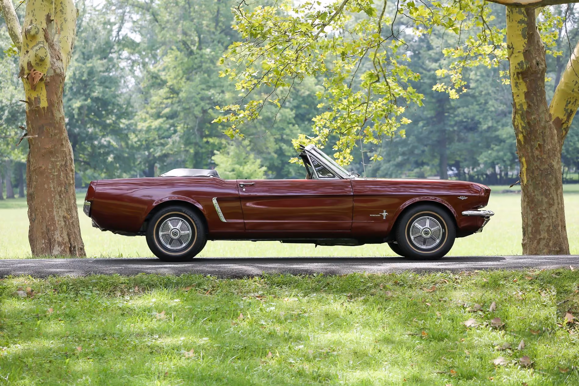1964.5 Ford Mustang Convertible — photo 1 of 20