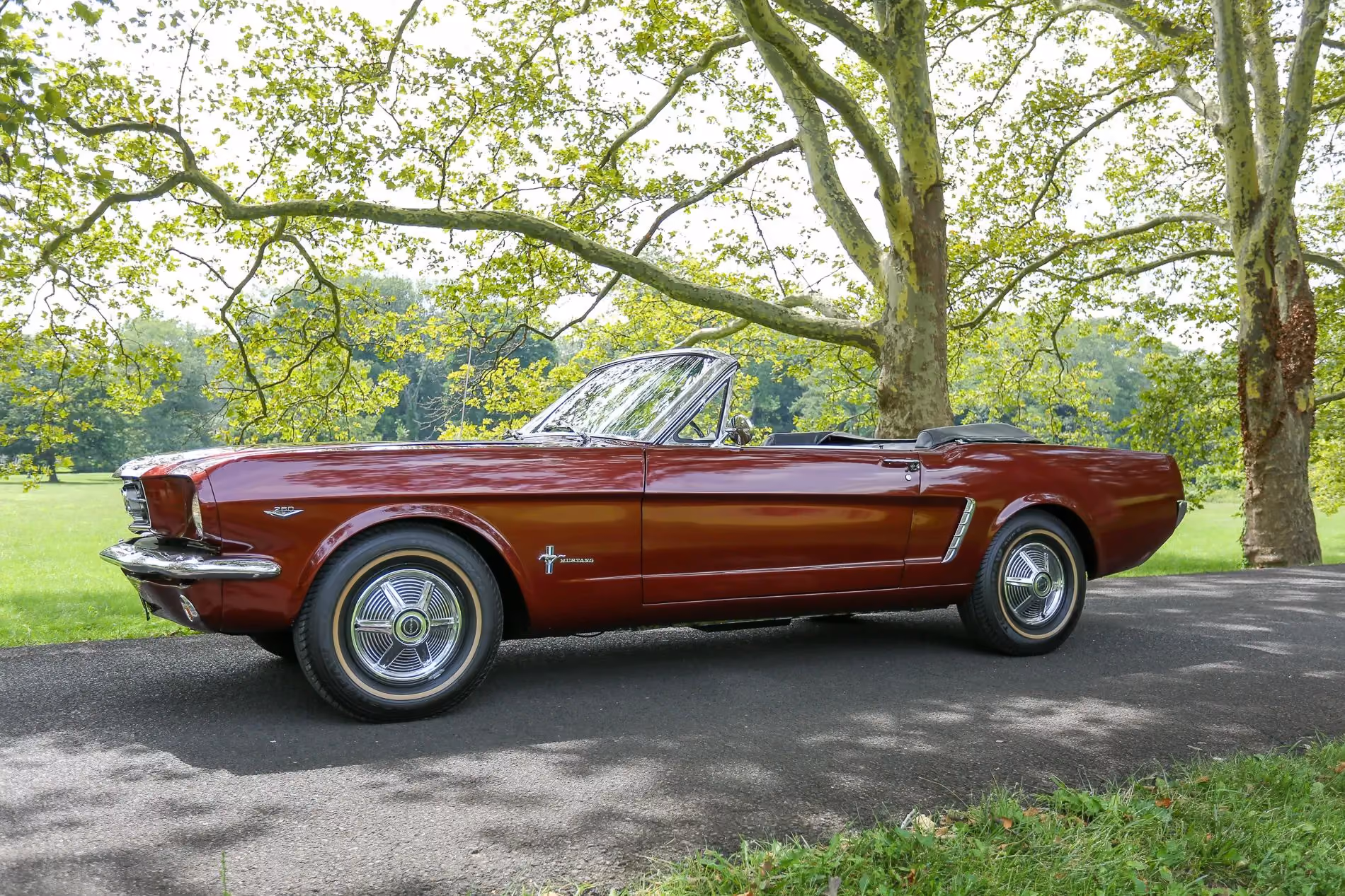 1964.5 Ford Mustang Convertible — photo 7 of 20