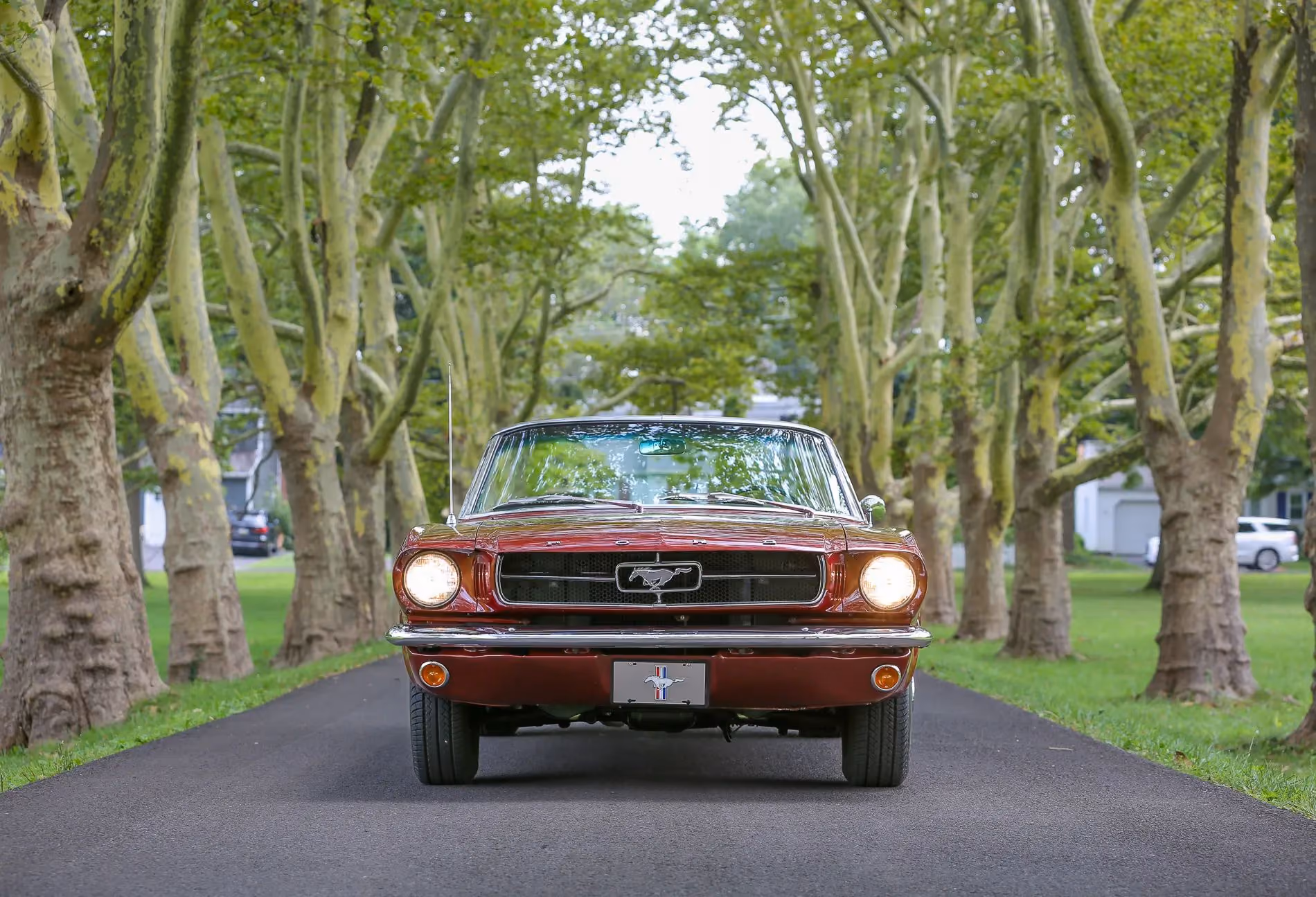 1964.5 Ford Mustang Convertible — photo 5 of 20