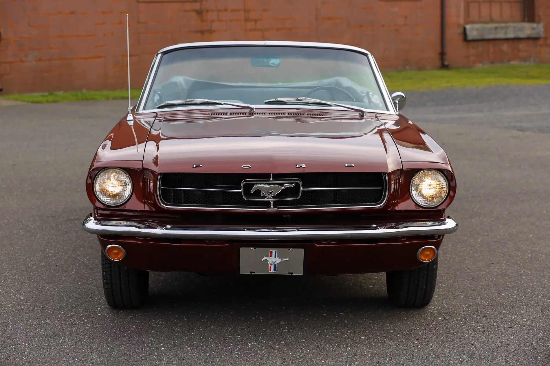 1964.5 Ford Mustang Convertible — photo 15 of 20