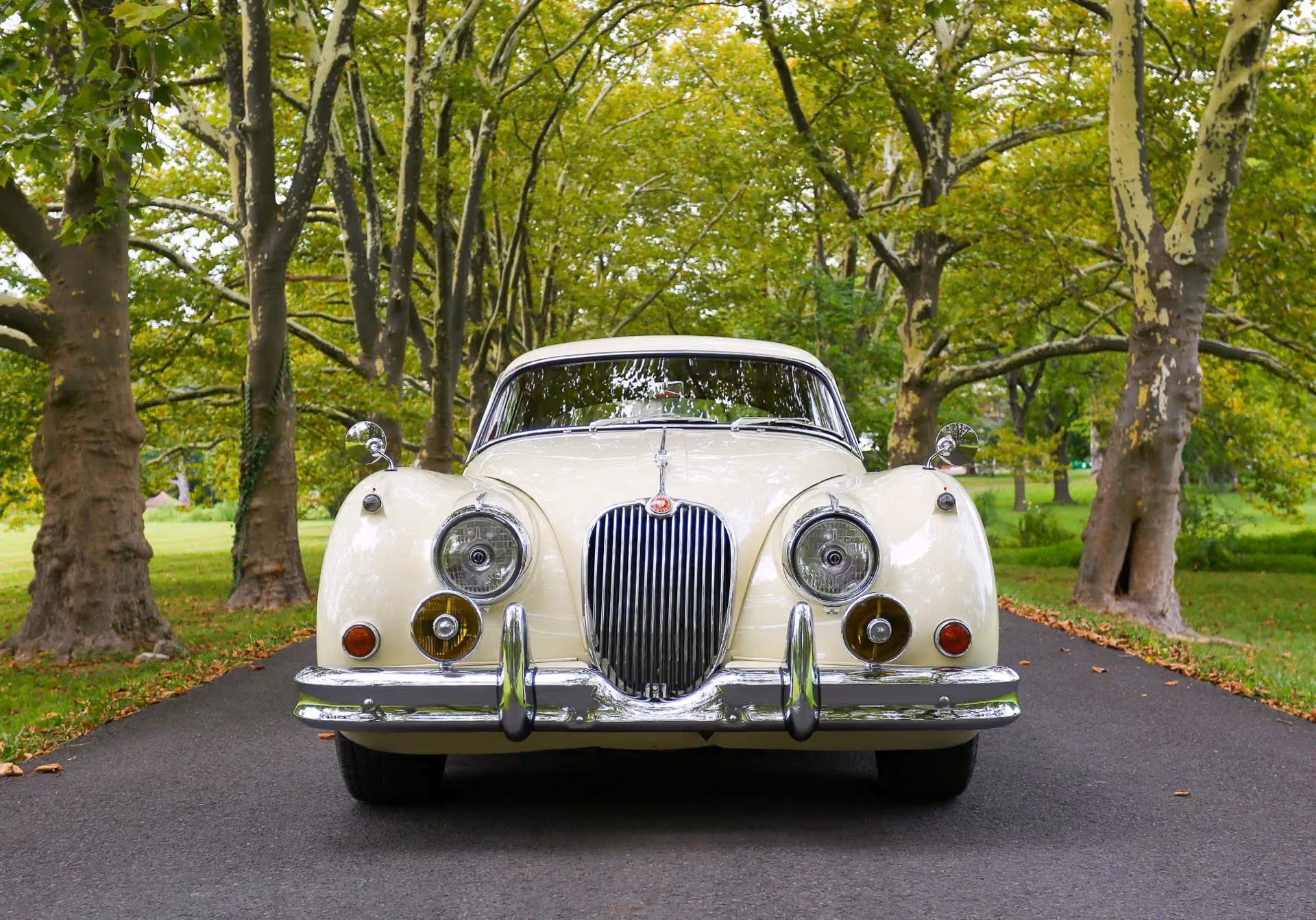1958 Jaguar XK150 — photo 10 of 13