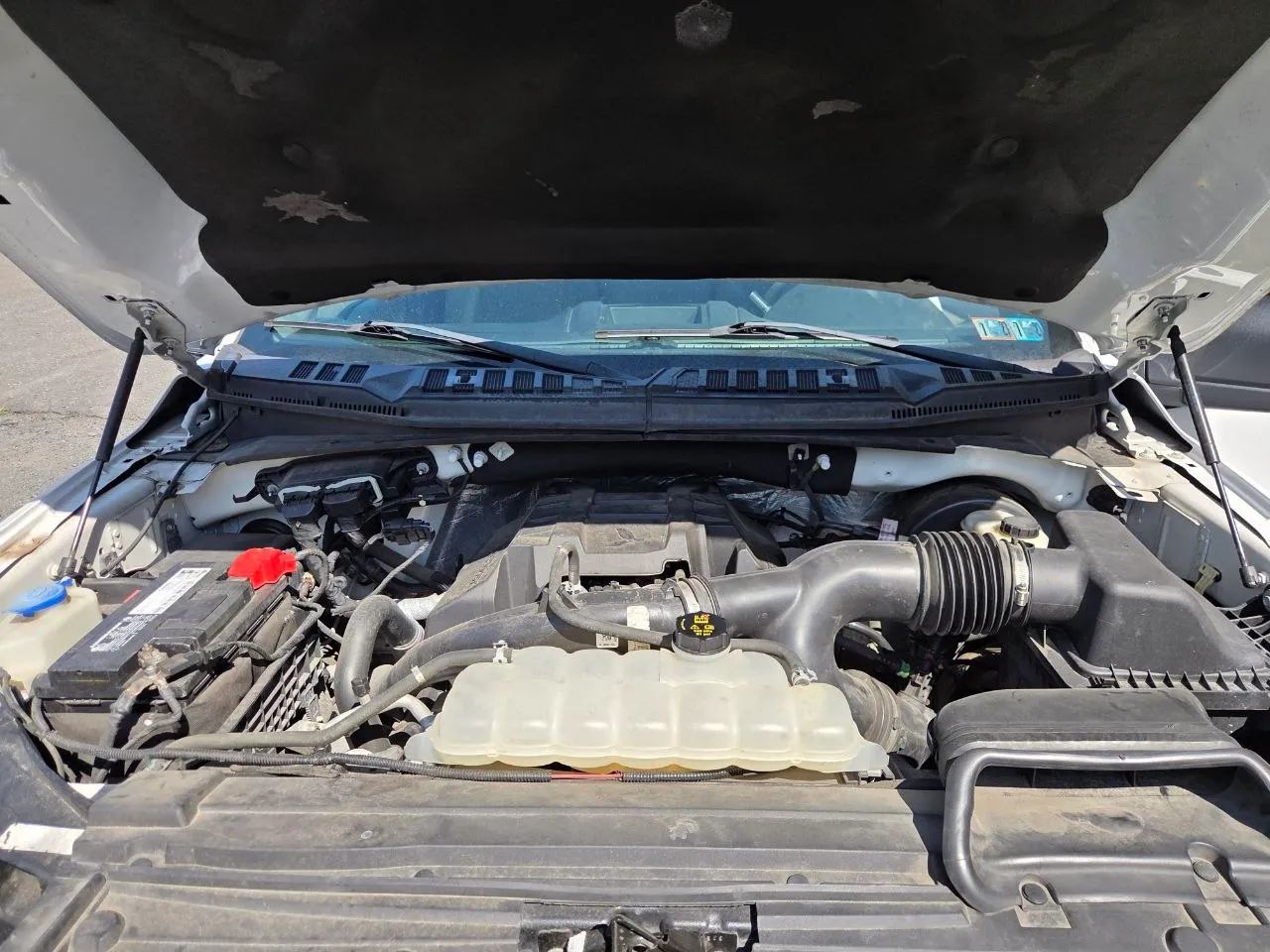 2015 Ford F150 Regular Cab XL Pickup 2D 8 ft — photo 17 of 20