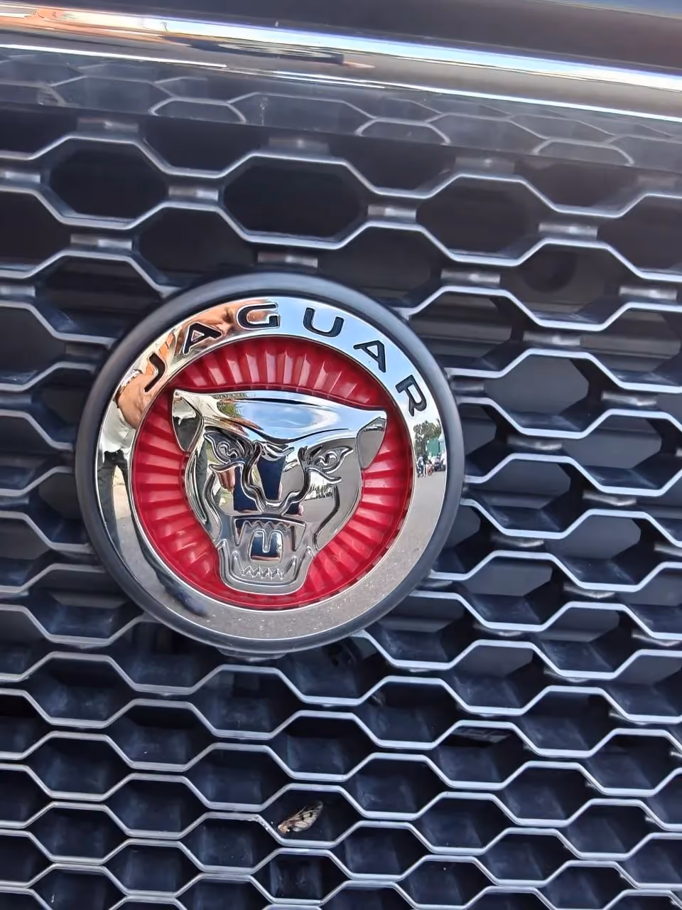 2019 Jaguar F-PACE — photo 20 of 40