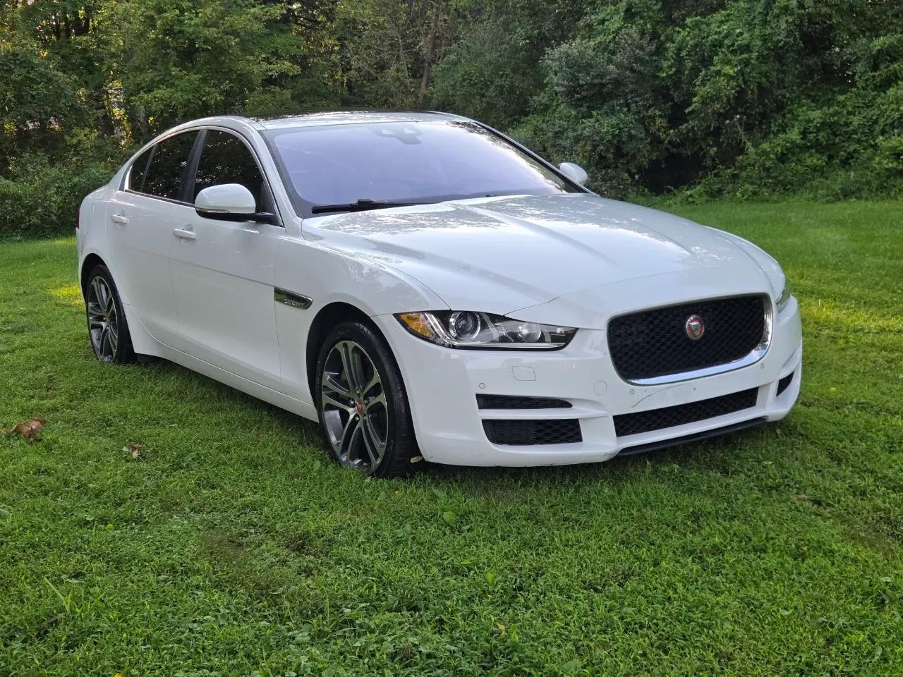 2017 Jaguar XE — photo 2 of 31