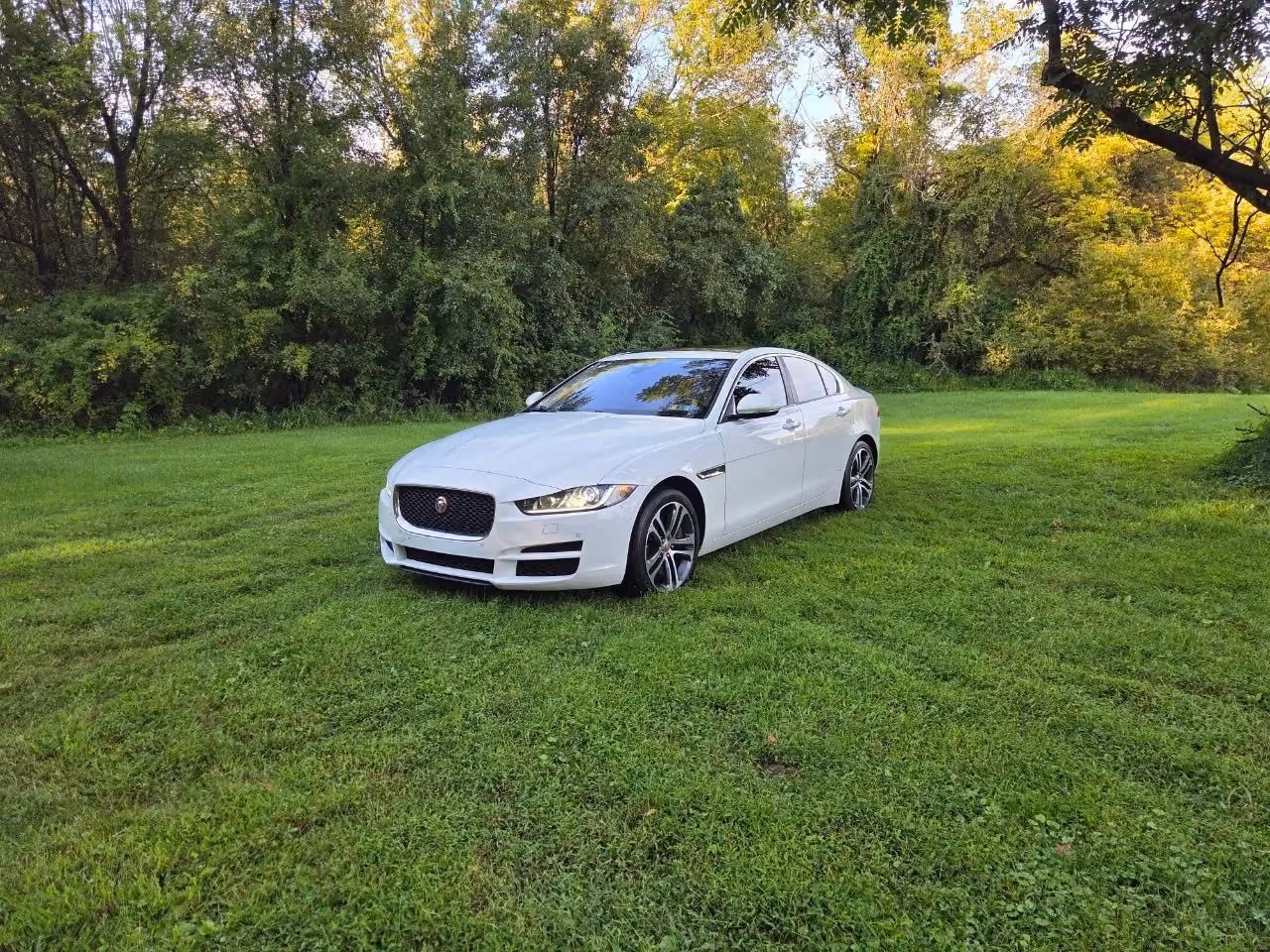 2017 Jaguar XE — photo 10 of 31